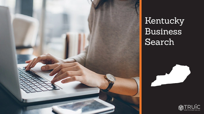 Business Entity Search